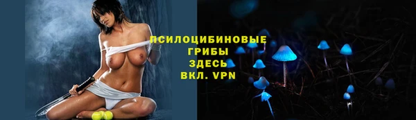 mix Богородск