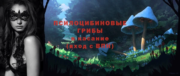 твердый Бугульма