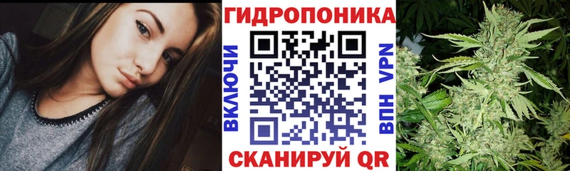 где купить наркотик  Нахабино  Шишки марихуана ГИДРОПОН 